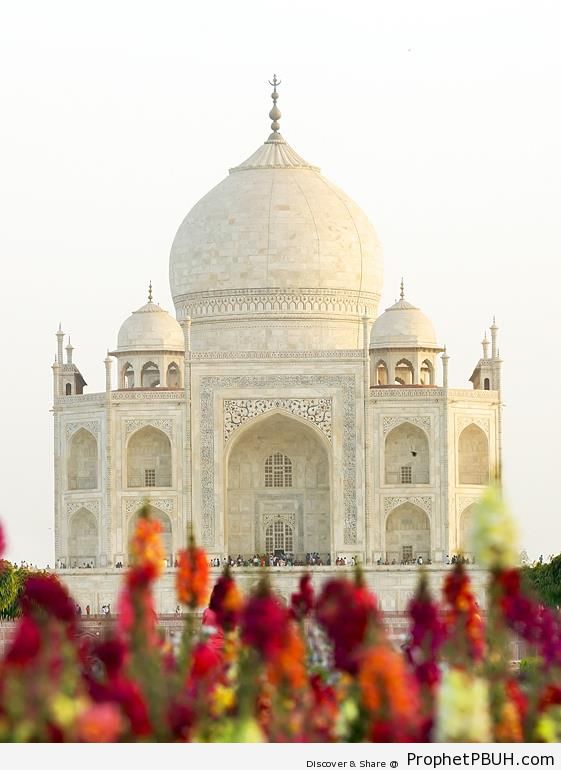 Taj Mahal (Islamic Architecture) - Agra, India