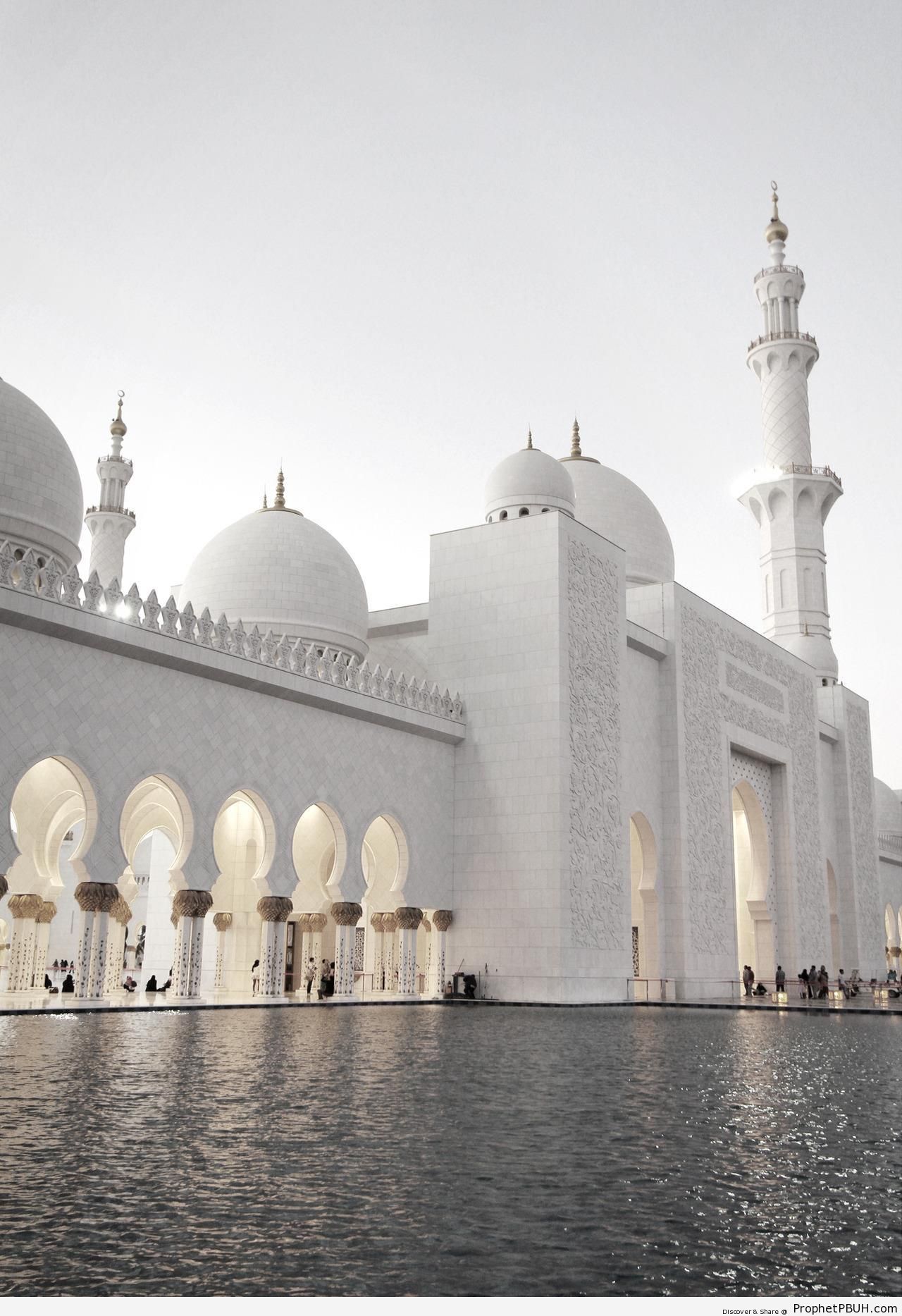 The Beautiful Mosque of Sheikh Zayed (Abu Dhabi, UAE) - Abu Dhabi, United Arab Emirates -Picture