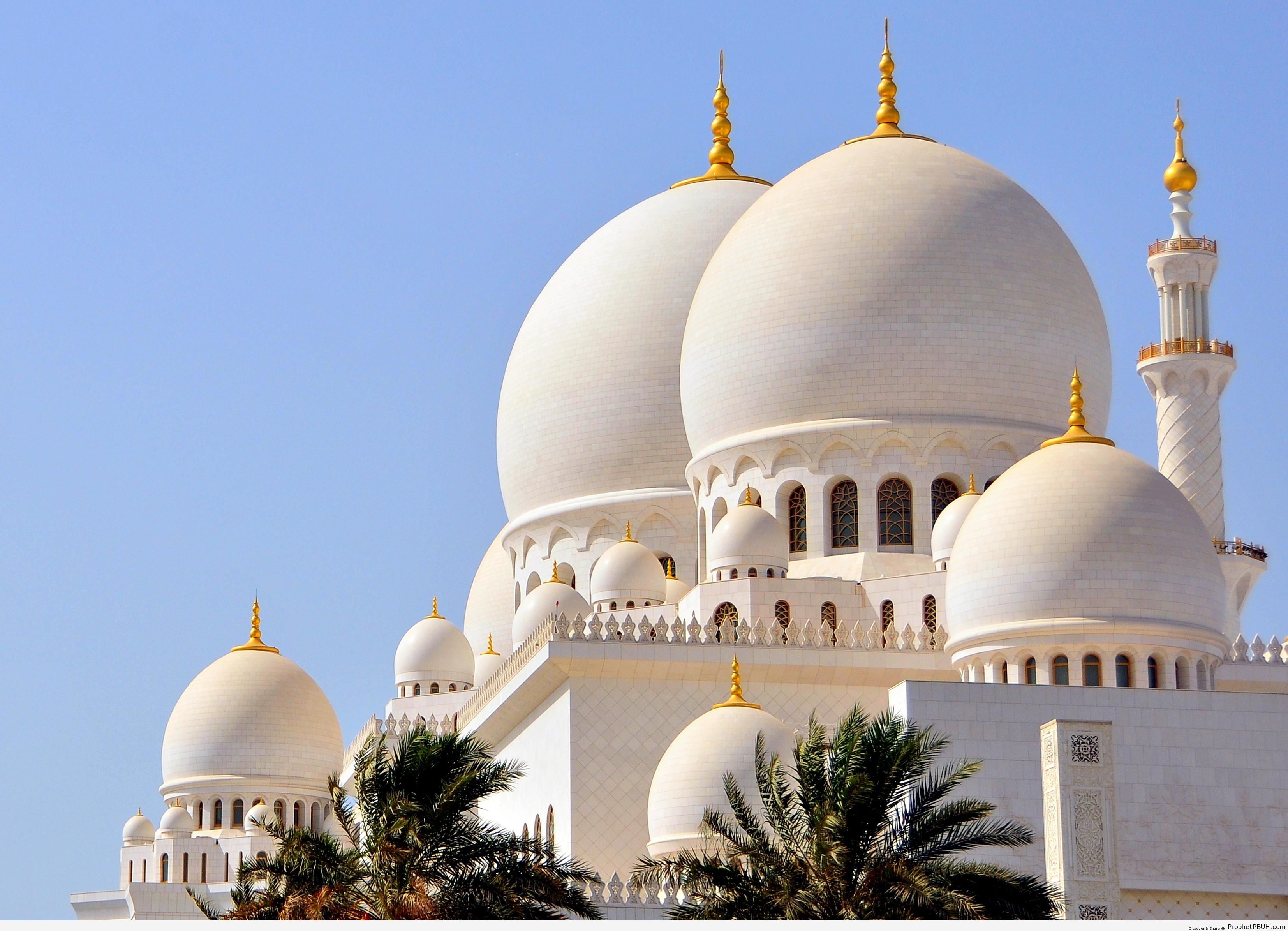 The Domes of Sheikh Zayed Grand Mosque, Abu Dhabi - Abu Dhabi, United Arab Emirates -Picture