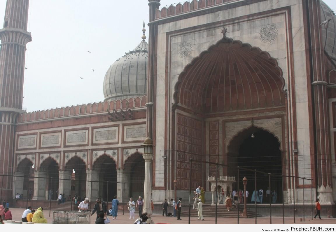 The Jama Masjid - Delhi, India -Picture