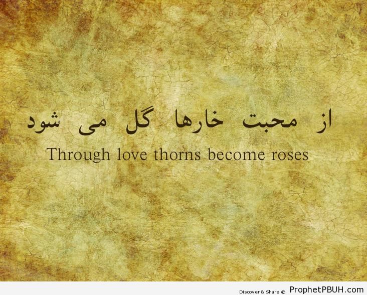 Through love (Rumi) - Islamic Quotes 