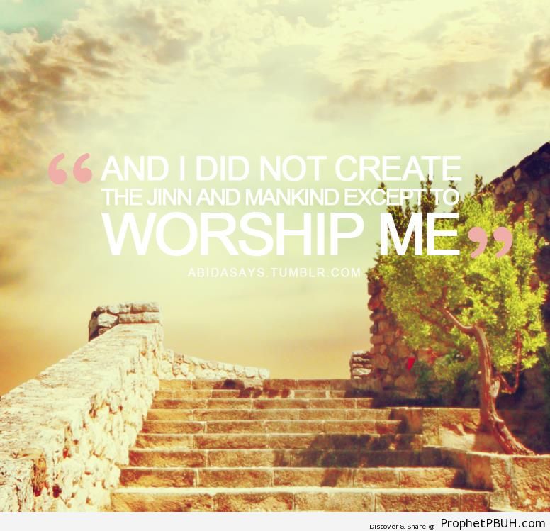 To Worship Me (Surat Adh-Dhariyat - Quran 51-56) - Quran 51-56 