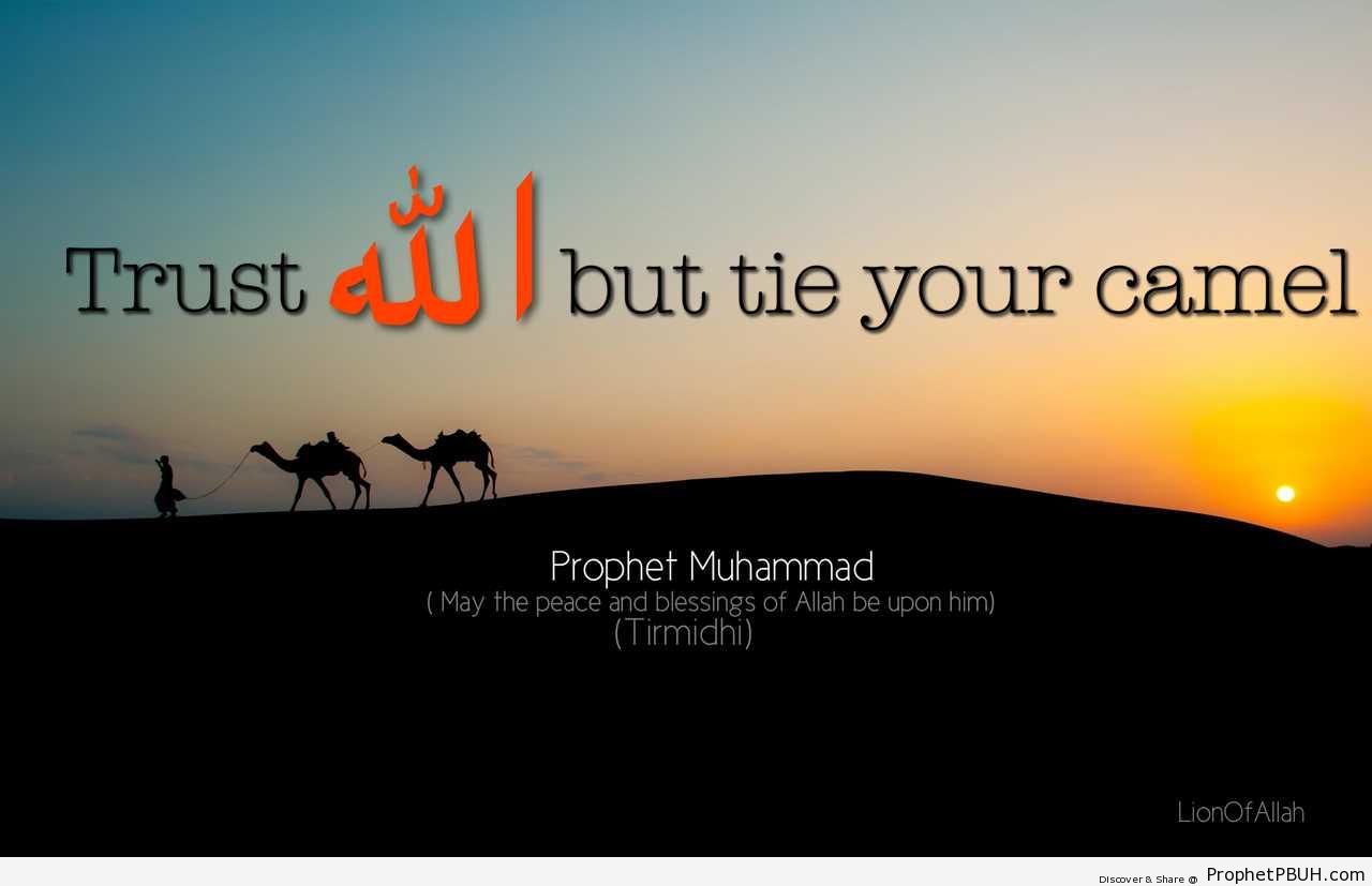Trust Allah But& (Prophet Muhammad Quote ï·º) - Hadith -Picture