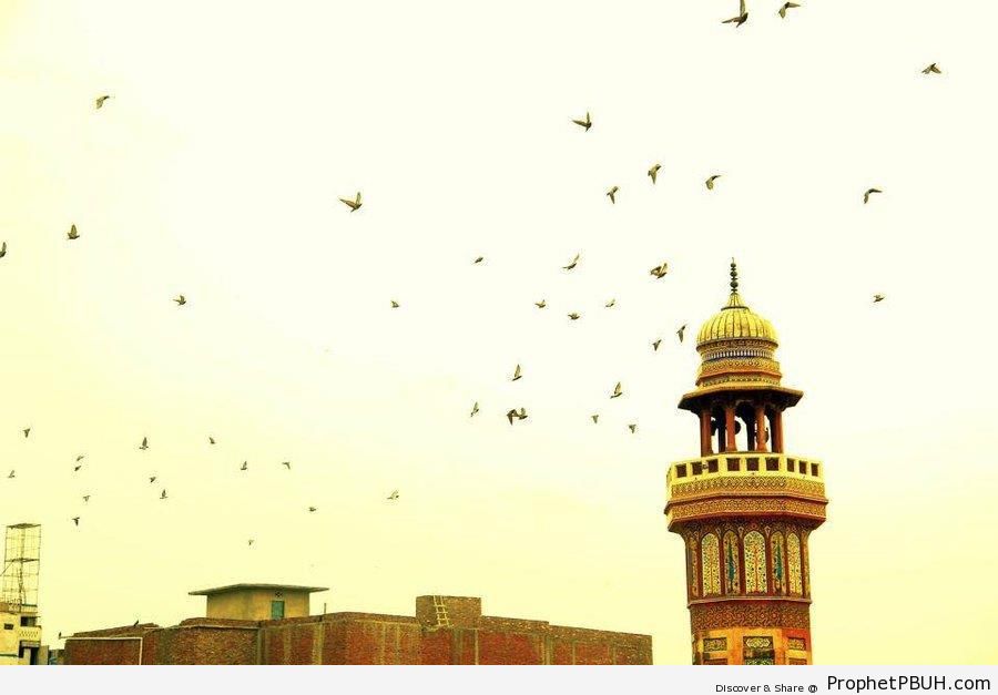 Wazir Khan Mosque Minaret Detail (Lahore, Pakistan) - Islamic Architecture -Picture