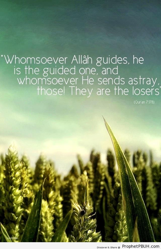 Whomsoever Allah Guides (Quran 7-178) - Photos