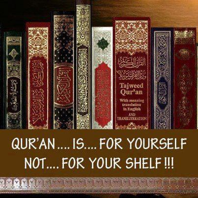 Islamic Quran Quotes