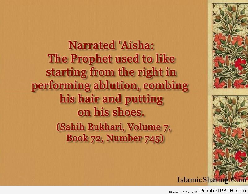 sahih bukhari volume 7 book 72 number 745