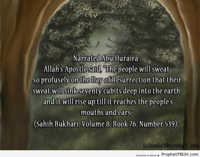 sahih bukhari volume 8 book 76 number 539
