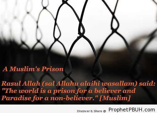 By Cool Fundamentalist Source Islamic-quotes - Islamic Quotes, Hadiths, Duas