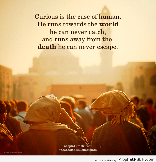Curious is the case of human. He runs... - Islamic Quotes, Hadiths, Duas