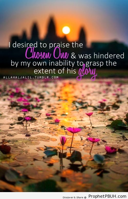 If all of my limbs were to become tongues, even... - Islamic Quotes, Hadiths, Duas