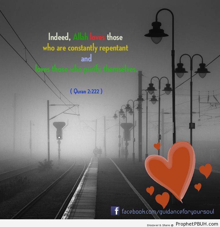 Indeed, Allah loves those who are constantly... - Islamic Quotes, Hadiths, Duas