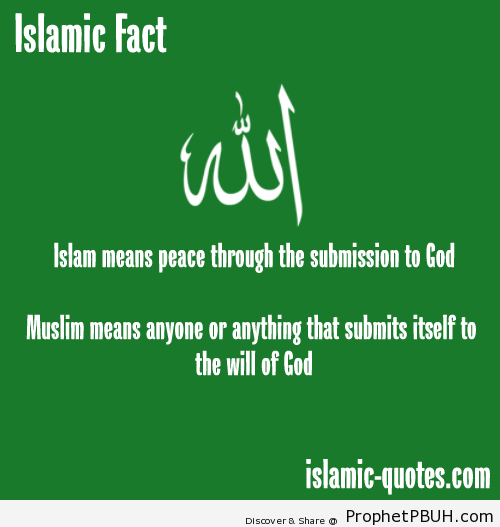 Islamic Quotes, Hadiths, Duas-036