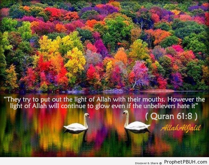 Light of Allah Shared viaA allahaljalilA  - Islamic Quotes, Hadiths, Duas