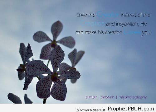 Love the CreatorÂ  - Islamic Quotes, Hadiths, Duas