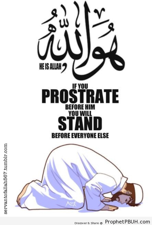 Prostrate before Allah - Islamic Quotes, Hadiths, Duas
