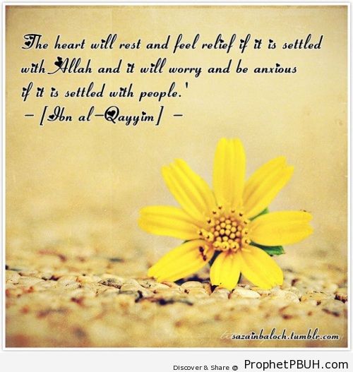 Relief of the heart - Islamic Quotes, Hadiths, Duas