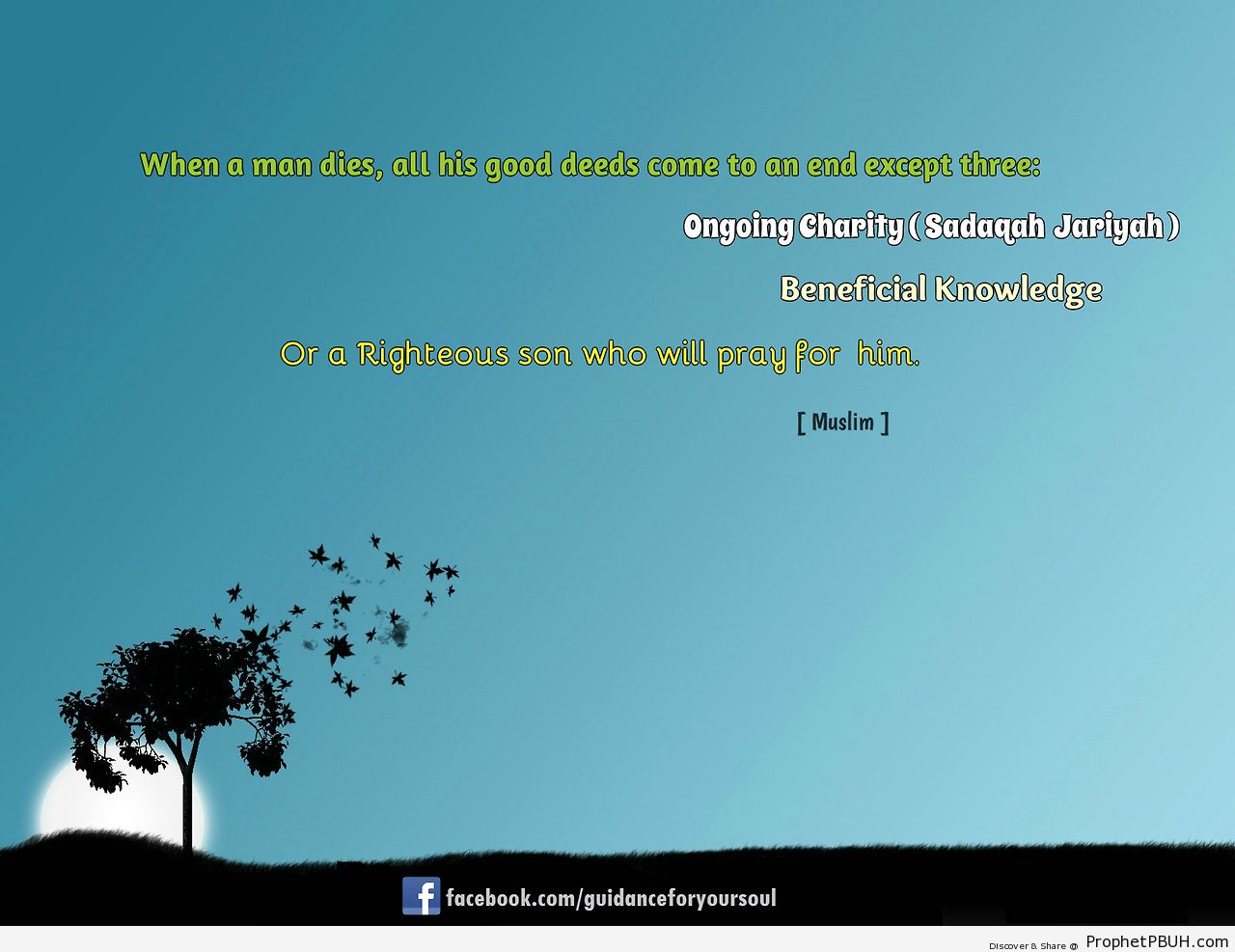 guidanceforyoursoul-  When aÂ man dies,Â all his... - Islamic Quotes, Hadiths, Duas