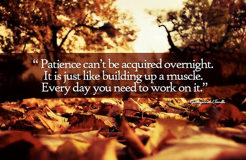 Islamic Quotes about Patience