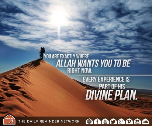 Divine Plan...