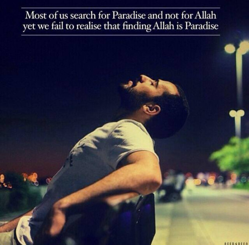 finding Allah is paradise