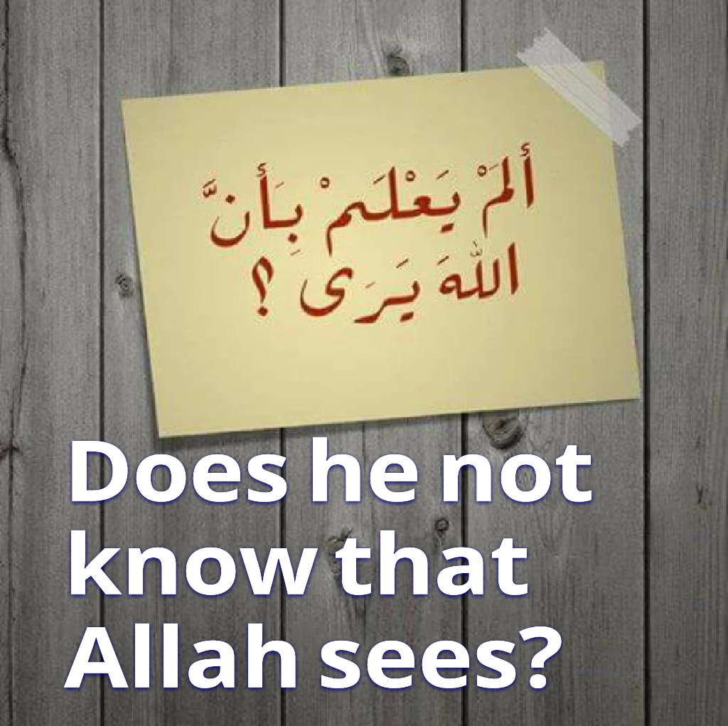 Does he not know that Allah sees?
