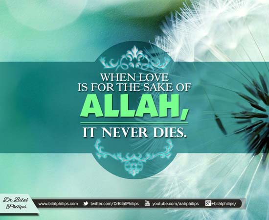 Love never dies when its for Allah's sake