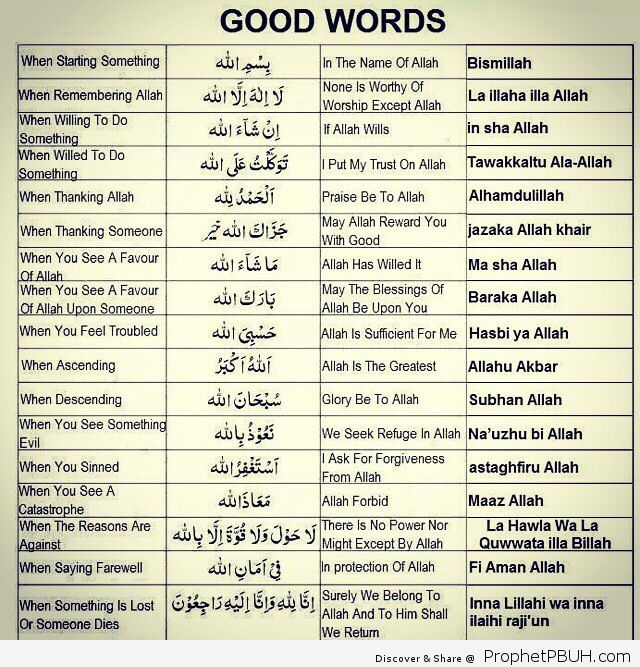 DesertRosegood words Learn the Holy Quran Online from the well being of your home