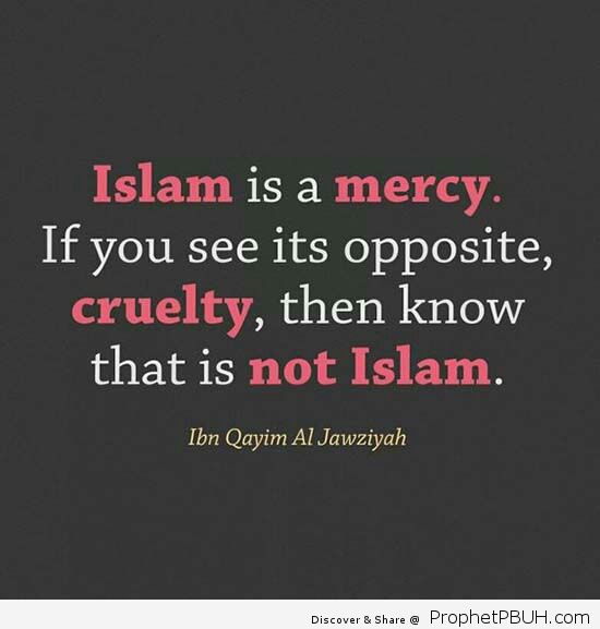 Islam is a mercy If you see its opposite cruelty then know that is not Islam