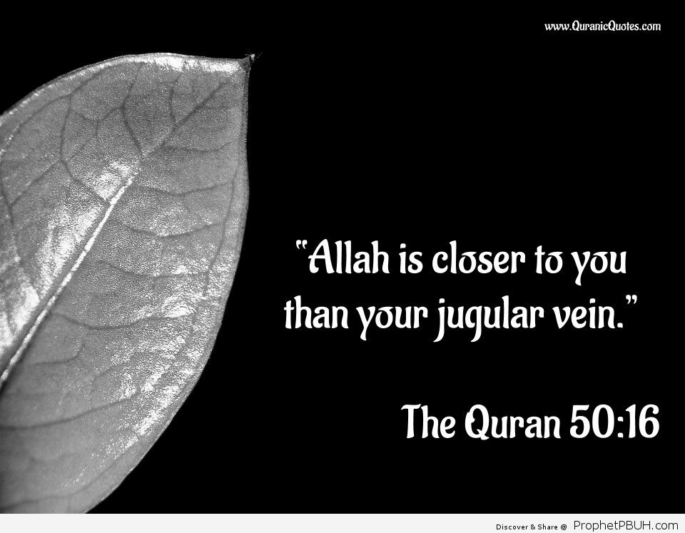 The Quran 50_16 Surah Qaf “Allah is closer to you than your jugular vein