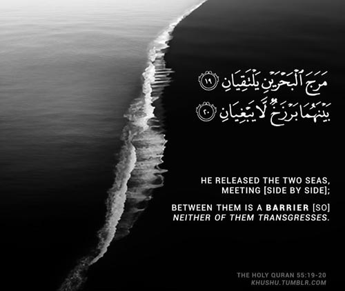 Subhan Allah - Beautiful Quran Quote