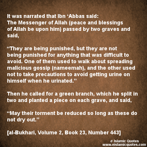 hadith on backbiting and gossip