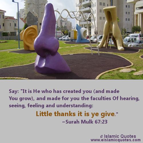islamic quote on being thankful
