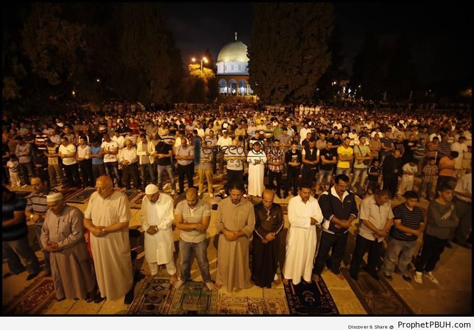 2013 Taraweeh Prayers Outside Dome of the Rock (al-Quds, Palestine) - Al-Quds (Jerusalem), Palestine 