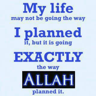 Life is going exactly the way Allah swt plannet it