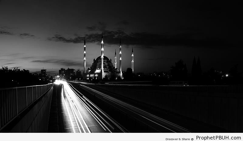 Adana Central Mosque (Turkey) - Adana, Turkey -Picture