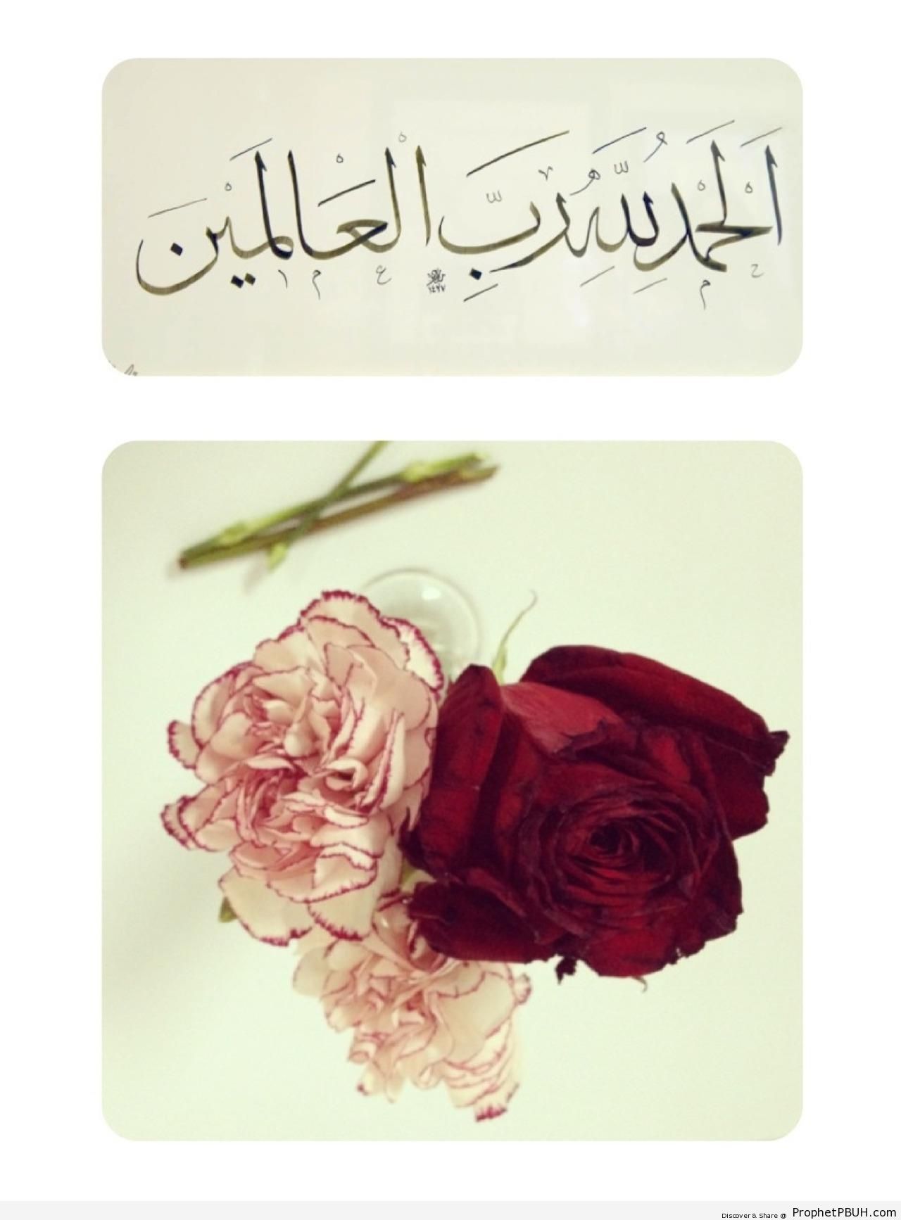 Alhamdulillah in Thuluth Calligraphy (Quran 1-2 - Surat al-Fatihah and Others) - Alhamdulillah Calligraphy and Typography 