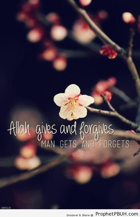 Allah Gives and Forgives - Islamic Quotes