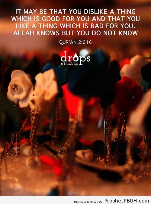 Allah Knows But You Do Not (Quran 2-216 - Surat al-Baqarah) - Quran 2-216