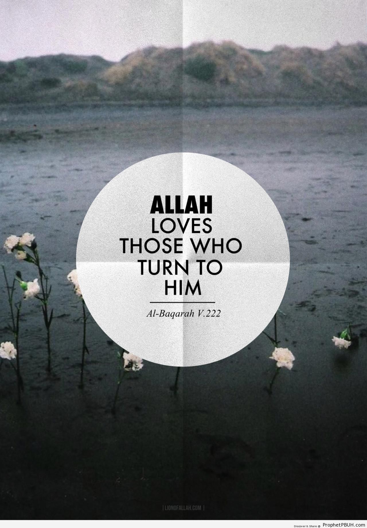 Allah loves those who turn to Him - Photos -