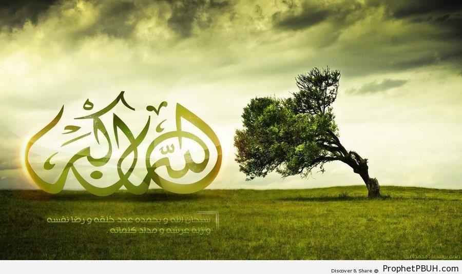 Allahu Akbar Calligraphy on Scenic Tree and Grass Photo - Allahu Akbar Calligraphy and Typography 