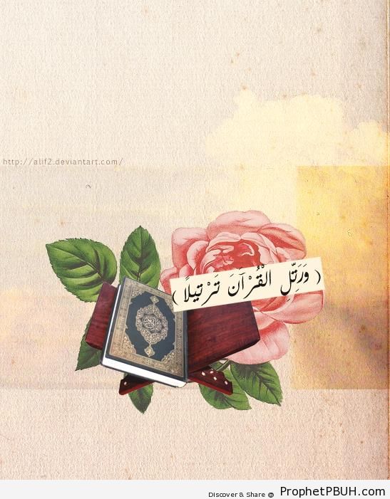 And recite the Quran - Drawings