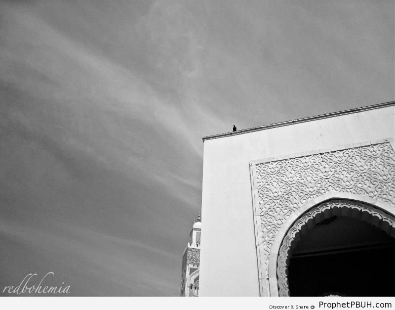 Arabesque Arch at Hassan II Mosque in Casablanca, Morocco - Casablanca, Morocco -Picture