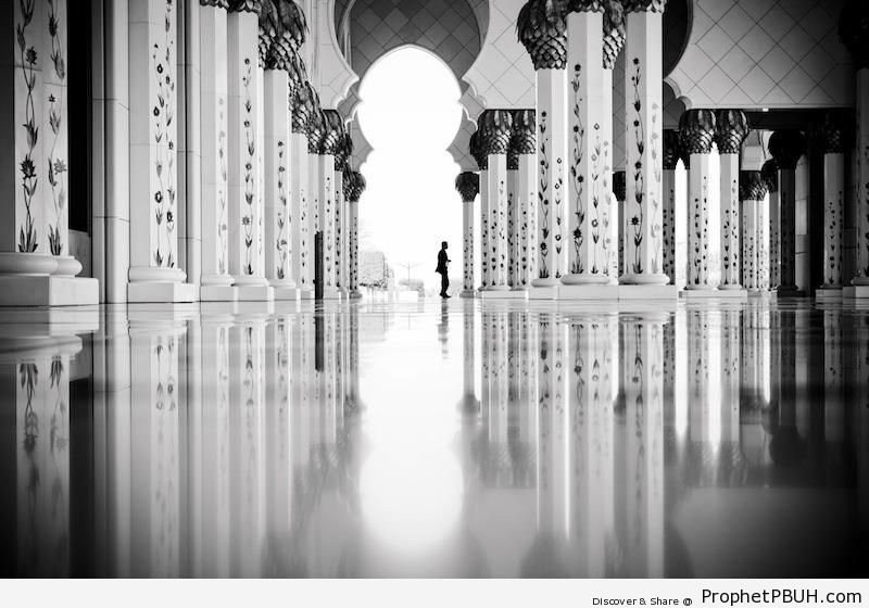 Arcades in Black and White (Sheikh Zayed Grand Mosque, Abu Dhabi) - Abu Dhabi, United Arab Emirates -Picture