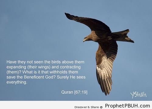 Ayahs from the Quran (9)
