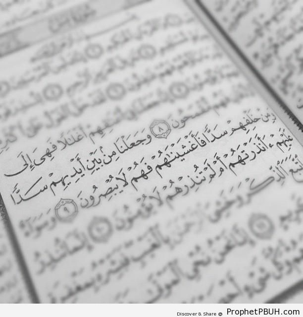 Barriers (Mushaf Photo With Artifical Focus on Quran 36-9; Surat Ya-Sin) - Mushaf Photos (Books of Quran)