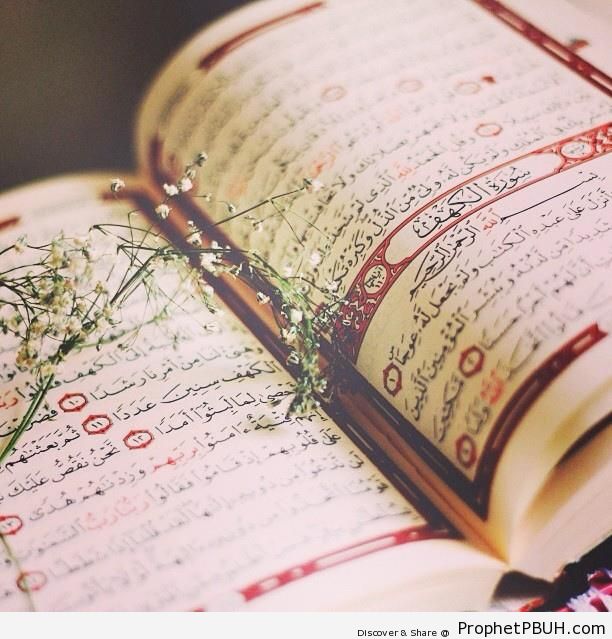 Beautiful Mushaf Photo Showing Start of Chapter 18 (Surat al-Kahf) - Mushaf Photos (Books of Quran)