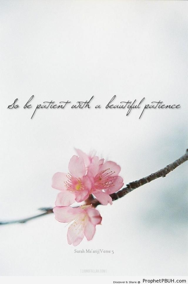 Beautiful Patience (Quran 70-5) - Islamic Quotes