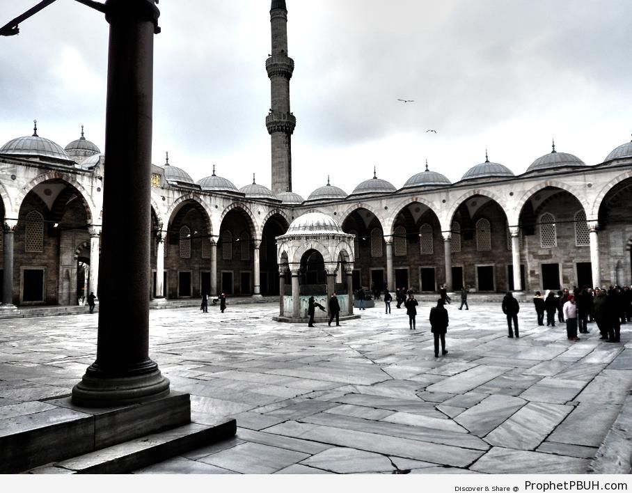 Blue Mosque Courtyard (Istanbul, Turkey) - Islamic Architecture -Picture