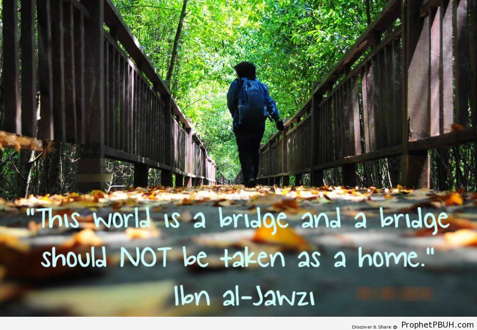 Bridges, not homes - Ibn Qayyim Al-Jawziyyah Quotes 